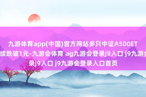 九游体育app(中国)官方网站多只中证A500ETF的单元净值陆续跌破1元-九游会体育 ag九游会登录j9入口 j9九游会登录入口首页