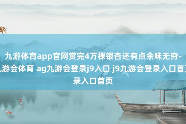 九游体育app官网赏完4万棵银杏还有点余味无穷-九游会体育 ag九游会登录j9入口 j9九游会登录入口首页
