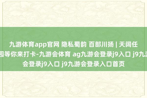 九游体育app官网 隐私蜀韵 百部川扬 | 天阔任鸟飞 宜宾长江公园等你来打卡-九游会体育 ag九游会登录j9入口 j9九游会登录入口首页