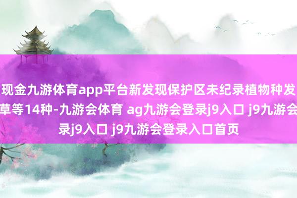 现金九游体育app平台新发现保护区未纪录植物种发菜、丝叶唐松草等14种-九游会体育 ag九游会登录j9入口 j9九游会登录入口首页