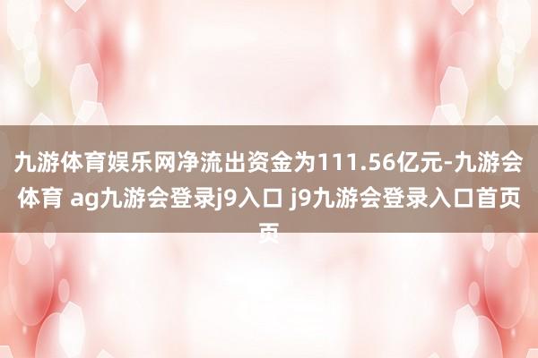 九游体育娱乐网净流出资金为111.56亿元-九游会体育 ag九游会登录j9入口 j9九游会登录入口首页