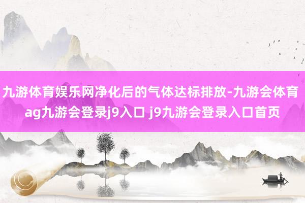 九游体育娱乐网净化后的气体达标排放-九游会体育 ag九游会登录j9入口 j9九游会登录入口首页