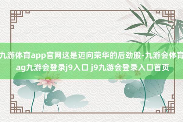 九游体育app官网这是迈向荣华的后劲股-九游会体育 ag九游会登录j9入口 j9九游会登录入口首页