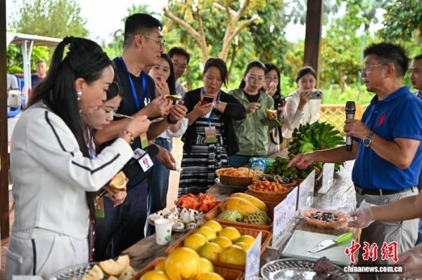 九游体育娱乐网悠闲农业算作聚拢一二三产的中枢纽带-九游会体育 ag九游会登录j9入口 j9九游会登录入口首页