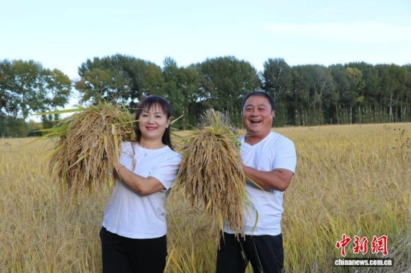 九游体育app(中国)官方网站我以每亩高于阛阓价200元的价钱回收-九游会体育 ag九游会登录j9入口 j9九游会登录入口首页