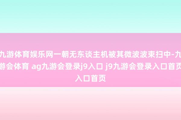 九游体育娱乐网一朝无东谈主机被其微波波束扫中-九游会体育 ag九游会登录j9入口 j9九游会登录入口首页