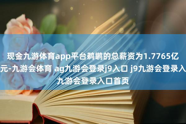 现金九游体育app平台鹈鹕的总薪资为1.7765亿好意思元-九游会体育 ag九游会登录j9入口 j9九游会登录入口首页