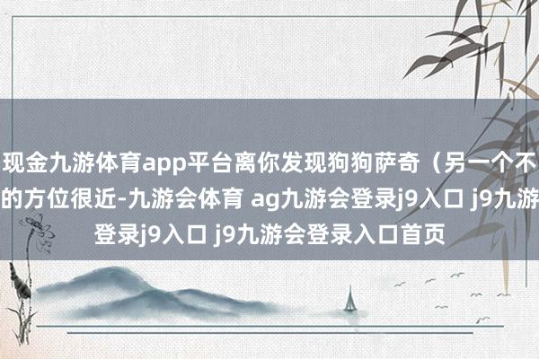 现金九游体育app平台离你发现狗狗萨奇(另一个不错招募的伙伴)的方位很近-九游会体育 ag九游会登录j9入口 j9九游会登录入口首页