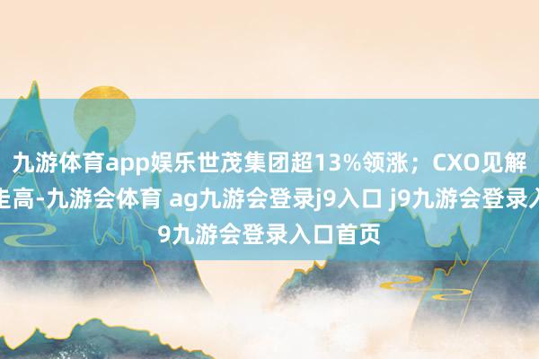 九游体育app娱乐世茂集团超13%领涨；CXO见解股震撼走高-九游会体育 ag九游会登录j9入口 j9九游会登录入口首页