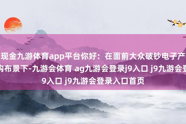 现金九游体育app平台你好：在面前大众破钞电子产业链花式重构布景下-九游会体育 ag九游会登录j9入口 j9九游会登录入口首页