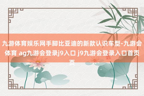 九游体育娱乐网　　手脚比亚迪的新款认识车型-九游会体育 ag九游会登录j9入口 j9九游会登录入口首页