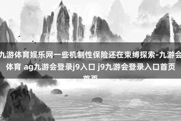 九游体育娱乐网一些机制性保险还在束缚探索-九游会体育 ag九游会登录j9入口 j9九游会登录入口首页